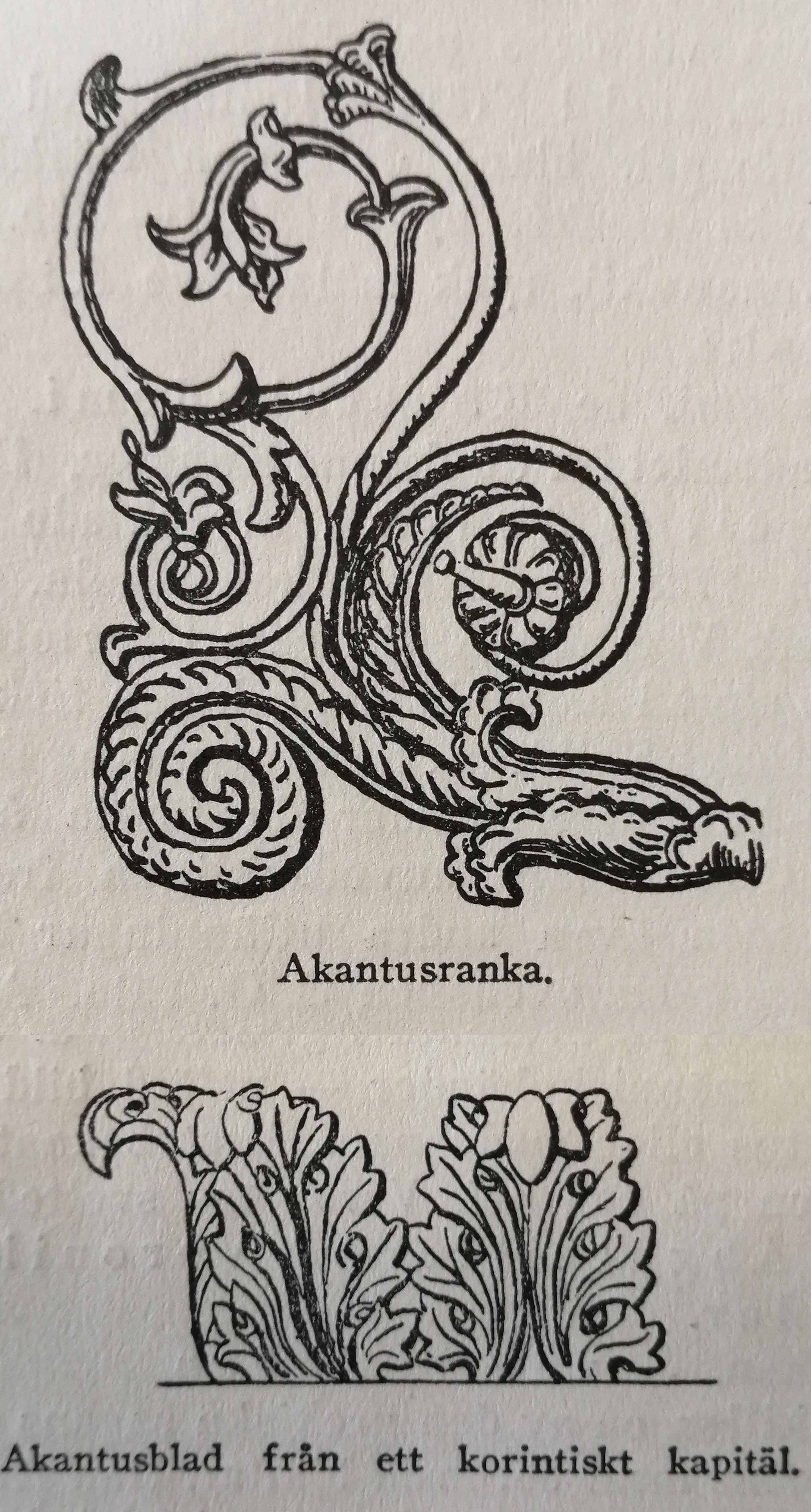 Acanthus drawings, scroll and column
